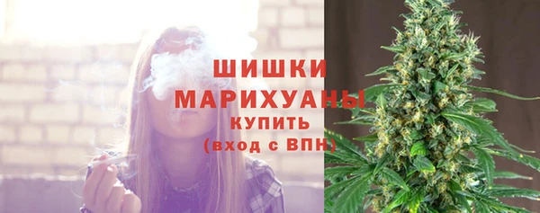 стафф Корсаков