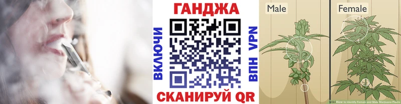 Купить  Кораблино  Каннабис ГИДРОПОН 